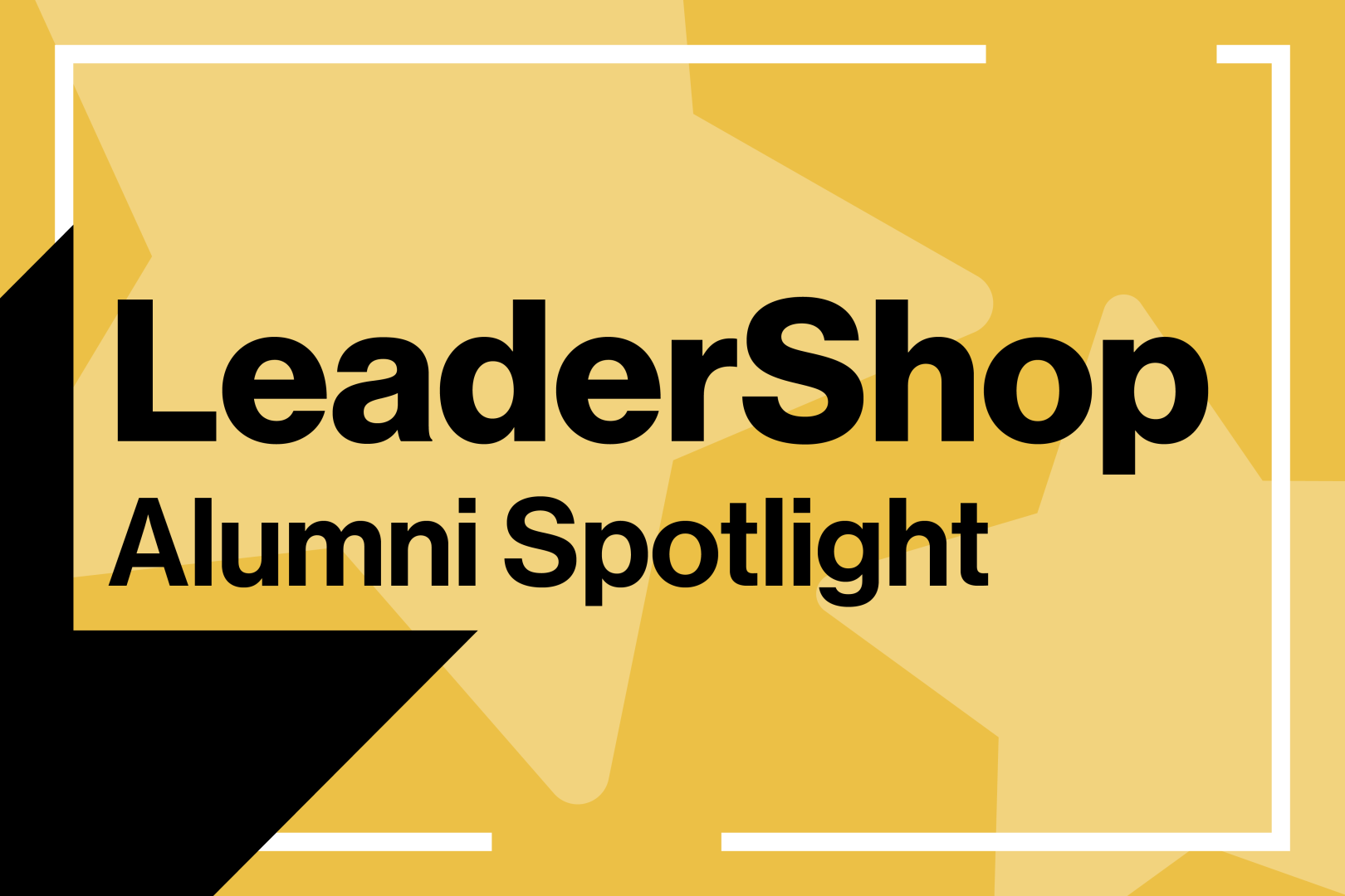 LeaderShop Alumni Spotlight written over gold stars and a black arrow
