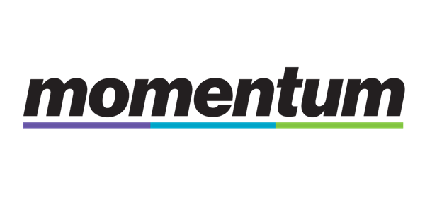 The word momentum is displayed with black letters and three skinny rectangles underneath the word momentum in colors purple, turquoise, and green.