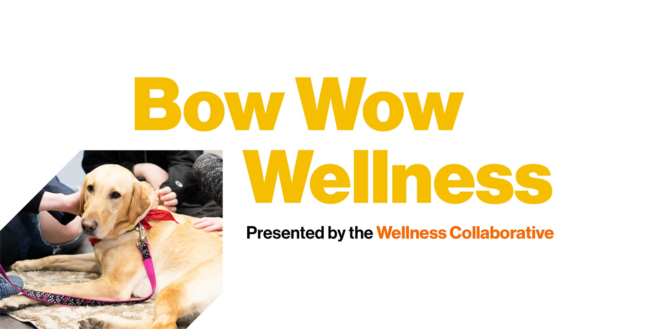 A picture in the bottom left corner depicts a dog being pet. In bold yellow words read "Bow Wow Wellness: Presented by the Wellness Collaborative".
