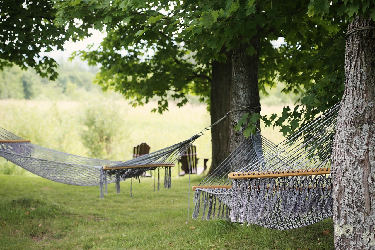 trees with hammocks and chairs