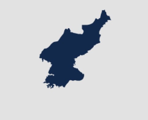 North Korea with grey background