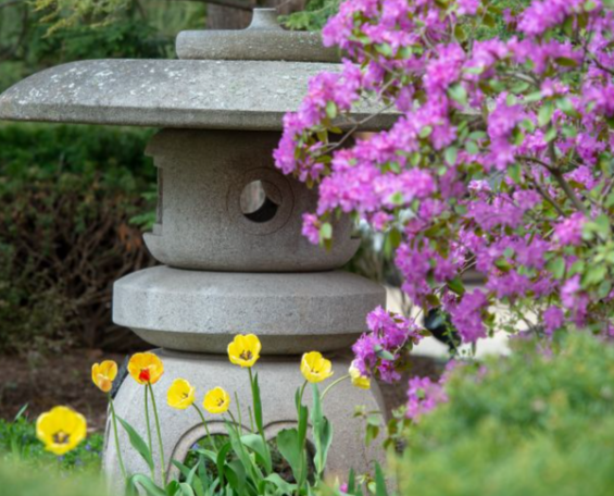 Tojo Garden during spring