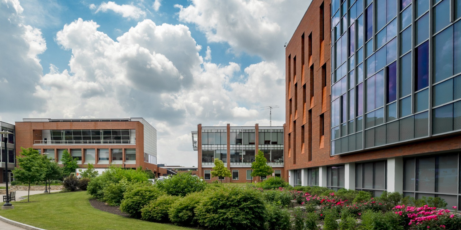 ﻿A modern campus scene featuring brick buildings surrounded by lush greenery and vibrant flowers under a cloudy sky.