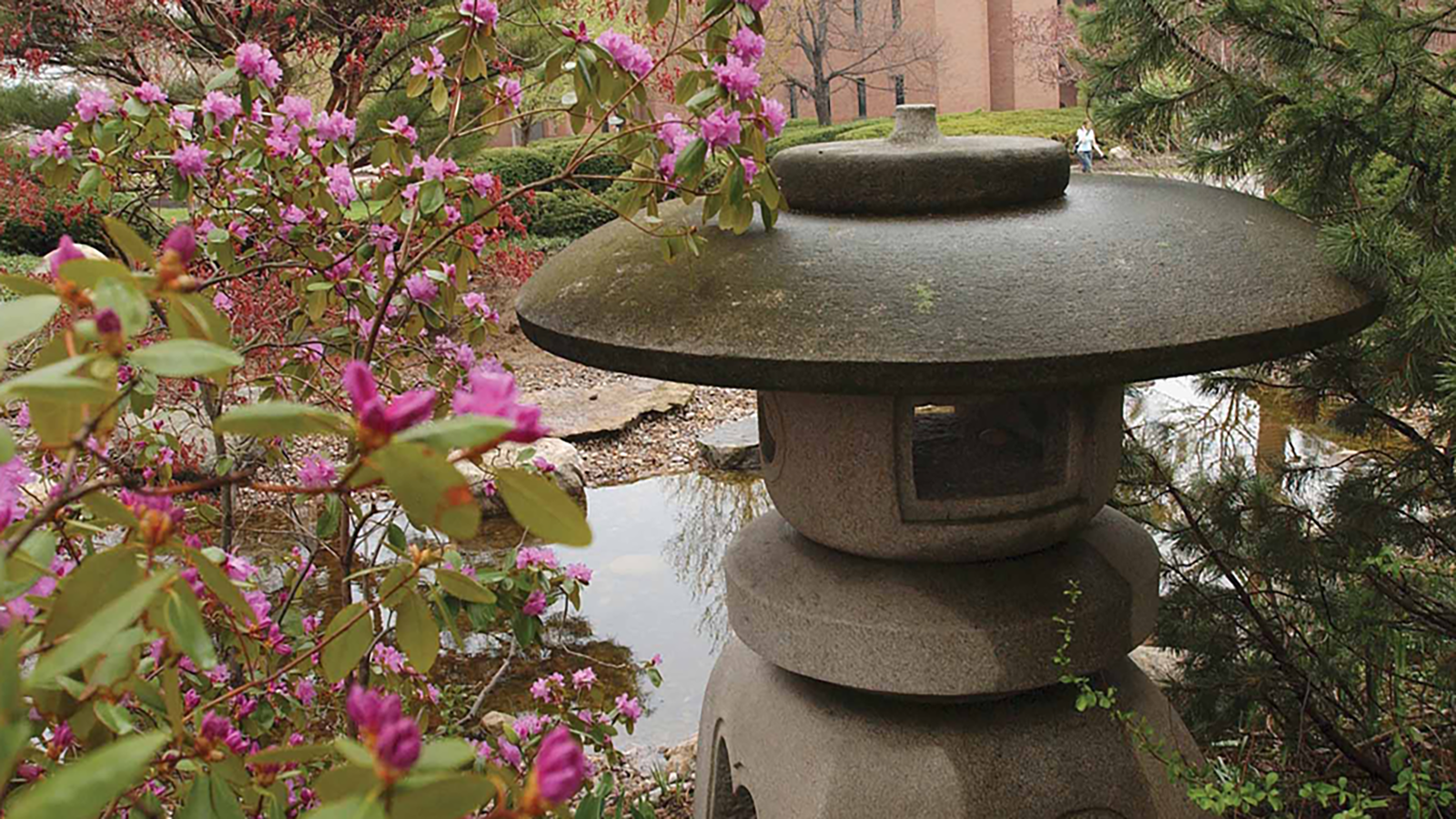 A traditional japanese stone lantern surrounded by greenery and pink flowering plants in RIT's zen garden. The background features a blurred view of a pond or water feature with trees.