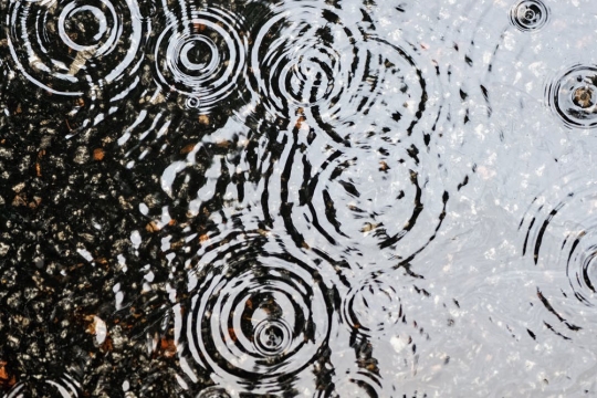 Rain drops hit puddle.