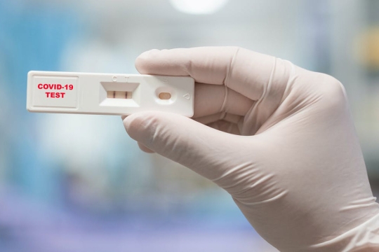 small, plastic COVID-19 test strip.