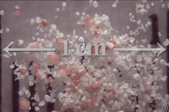 enlarged view of microplastic pellets.