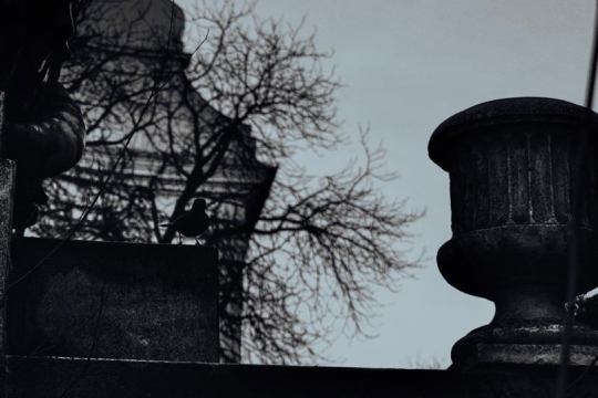 outdoor scene with house and tree at dusk.