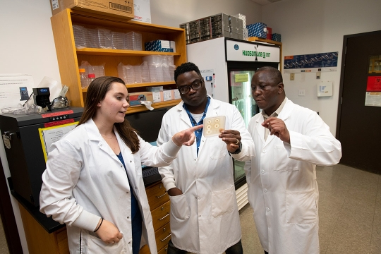two professors and student wearing lab coats looking at bacteria sample.