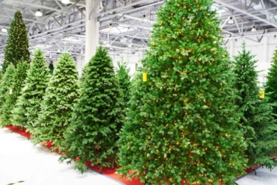 a display of artifical Christmas trees.