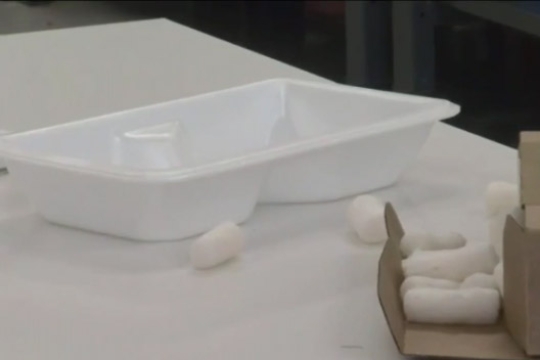 a Styrofoam food container and packaging peanuts.