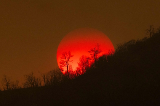 The sun sinks behind a smoky sky and burned forest at the Oak Fire near Mariposa, California.