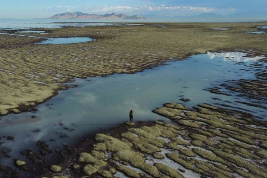 Person standing on reeflike structure exposed by receding waters at the Great Salt Lake in Utah.