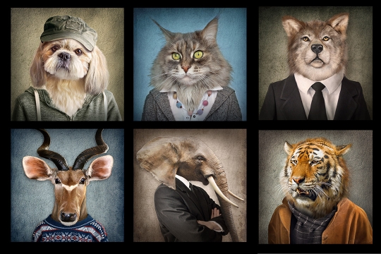 portraits of a dog, cat, wolf, gazelle, elephant, and tiger wearing human clothes.