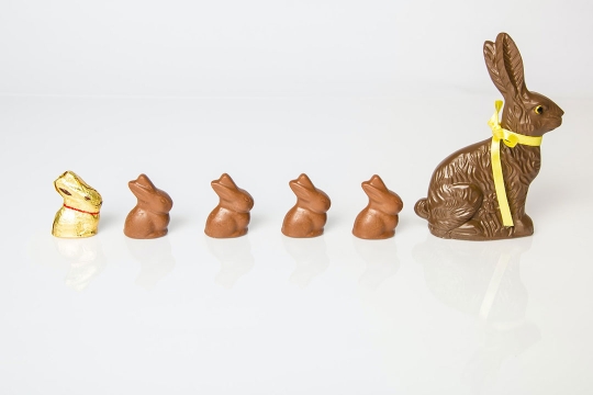 a line up of chocolate bunnies, starting with a large bunny, followed by four small ones and a gold foil wrapped one.