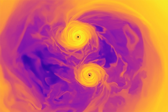 illustration of two black holes spiraling next to each other, with yellows in the center and purples on the edges.
