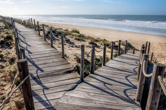 a wooden boardwalk along a sandy beach that splits off toward the water.
