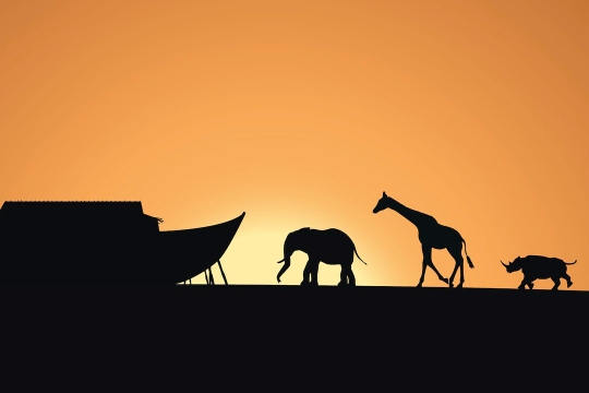 black silhouette of an elephant, giraffe, and rhino walking toward a boat.