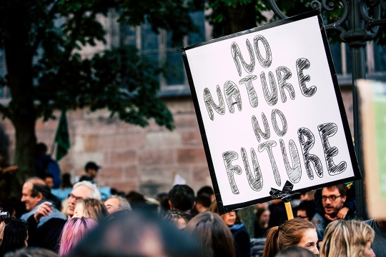 a person holds a sign that says no nature no future at a climate change protest.