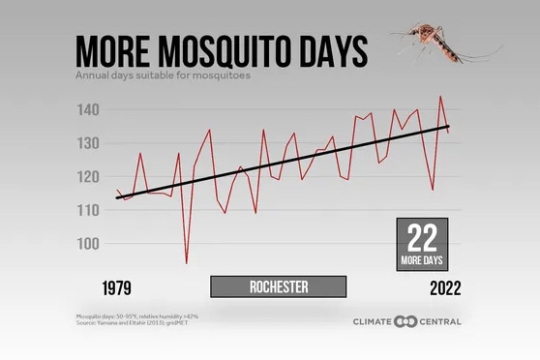 a graph showing the number of days with weather suitable for mosquitoes in Rochester have increased since 1970.