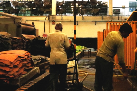Production in the tannery begins with the preservation and desalting of raw hides, starting with a mechanical inspection to remove the salt used in preservation. 
