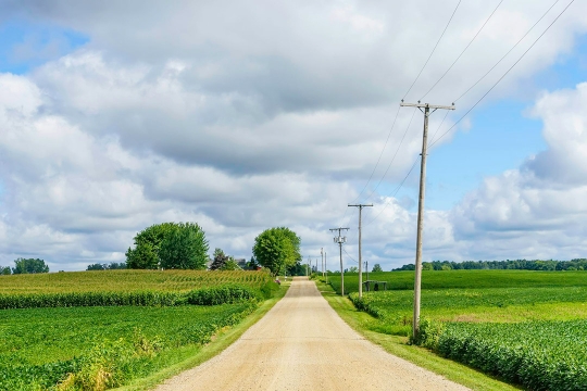 A rural dirt road flanked by green fields and utility poles, with an overcast sky above.