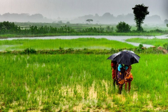 people huddle under an umbrella in an overflowing field