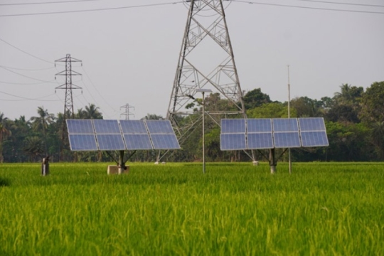 solar panels appear in a field in india