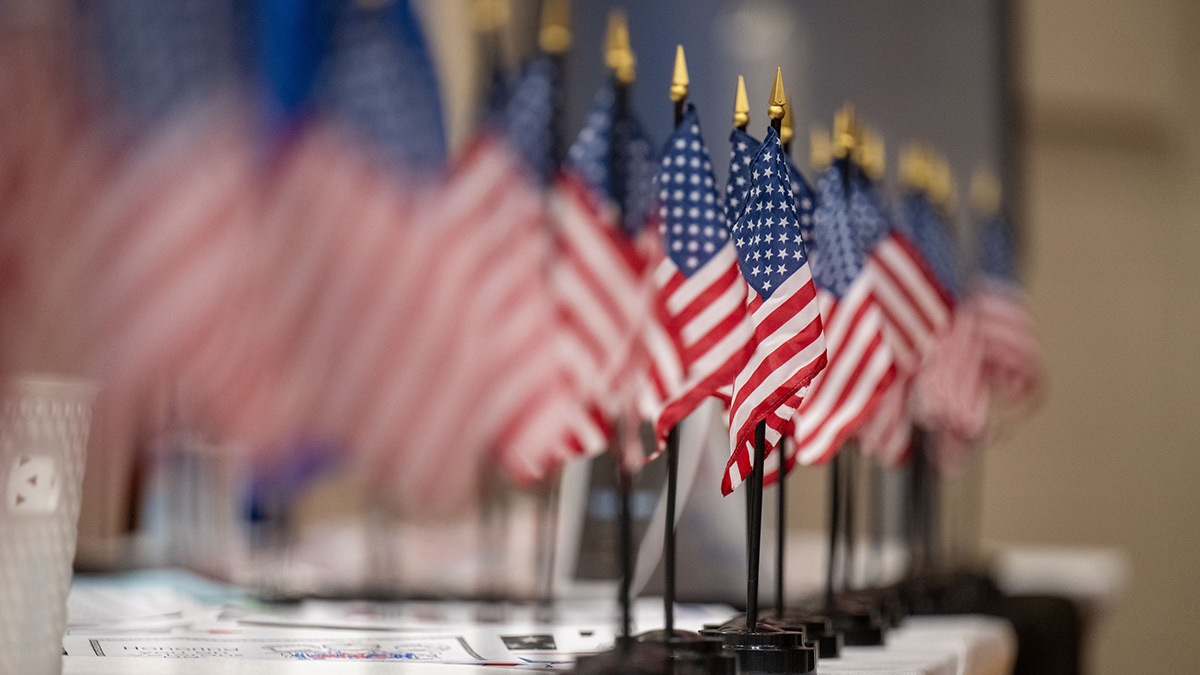 A grouping of small American flags.