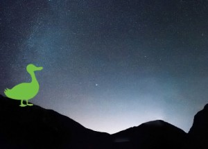 A green duck icon is overlayed on a night sky.