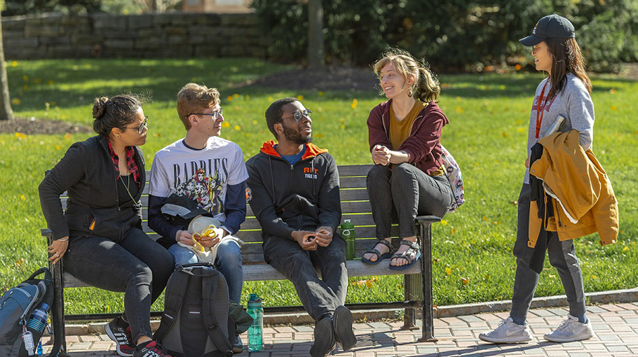 brown banner with 3 white stripes