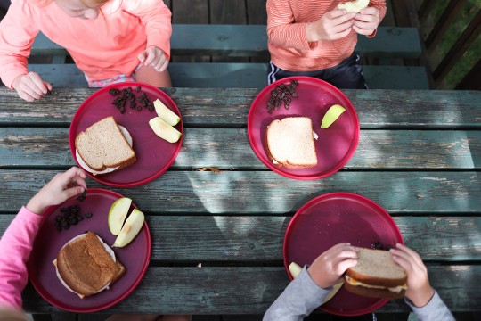 Overhead view of four children eating sandwiches, apples and raisins from four purple plates.