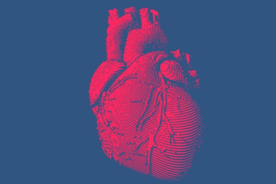 Graphic drawing of heart.