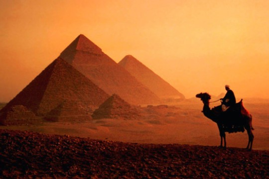 Person riding camel with pyramids in the background