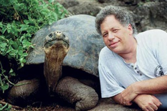 Person posing with turtle