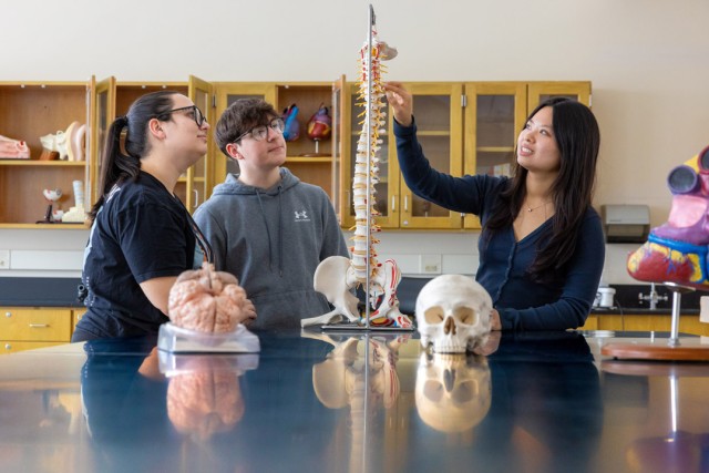 three students stand at a table in a medical classroom. a human spine is in front of them and the woman on the right points to the top of the spine.