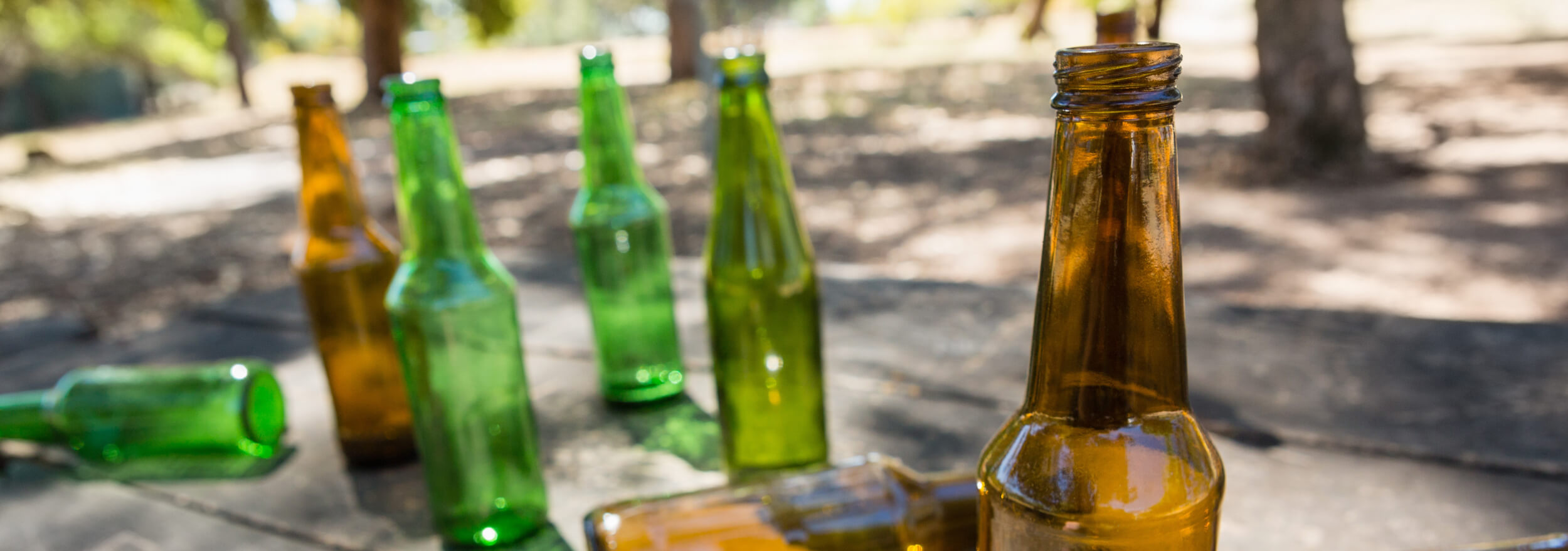empty beer bottles on park bench.