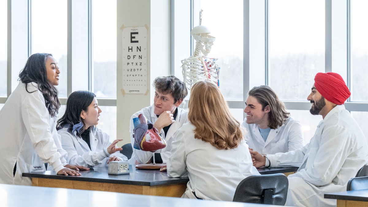 Six students in lab coats gather around a lab table, discussing a heart model; a skeleton and an eye chart are visible by the windows.