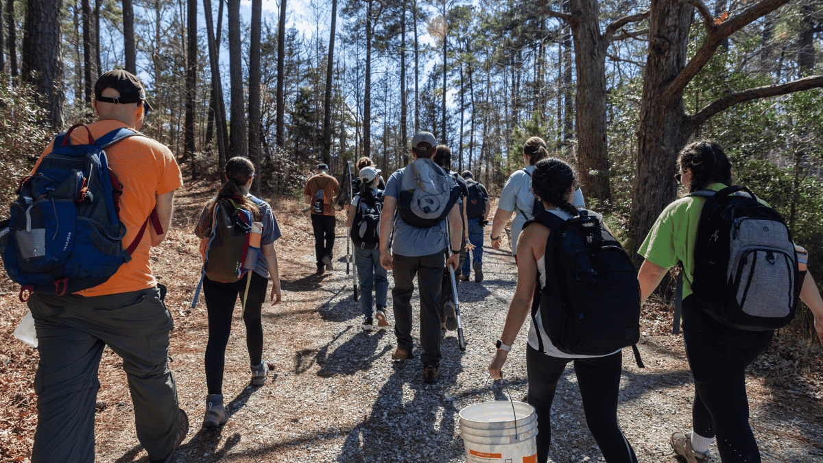 Students walking through a forest on Alternative Break
