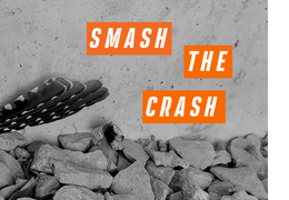 Text "Smash the Crash" appears over a black and white image of stones with bird feathers laying on top.