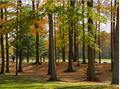 RIT Nature Trail
