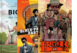 Covers of the books 'Big Jim and the White Boy', 'Black Panther Party: A Graphic Novel History' and an issue of 'Bitter Root'.
