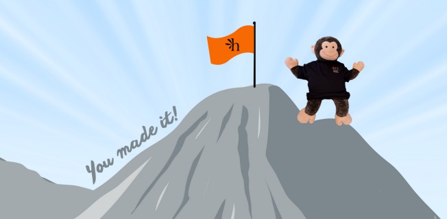 Image of Stanley on top of mountin