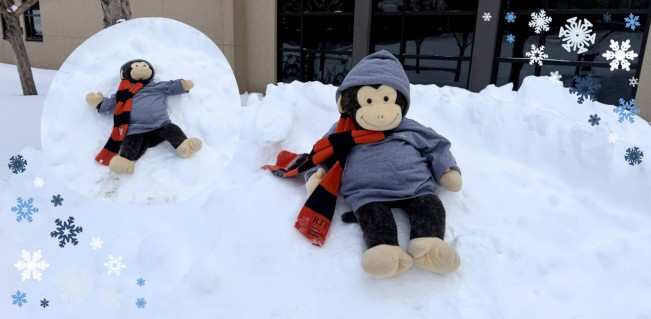 Image of Stanley in the Snow