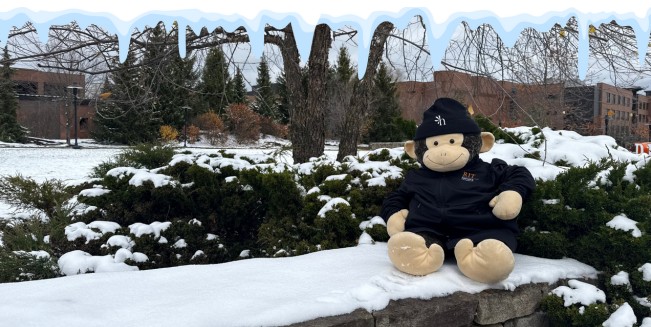 Image of Stanley (Honors Stuffed animal Mascot) with a snowy background