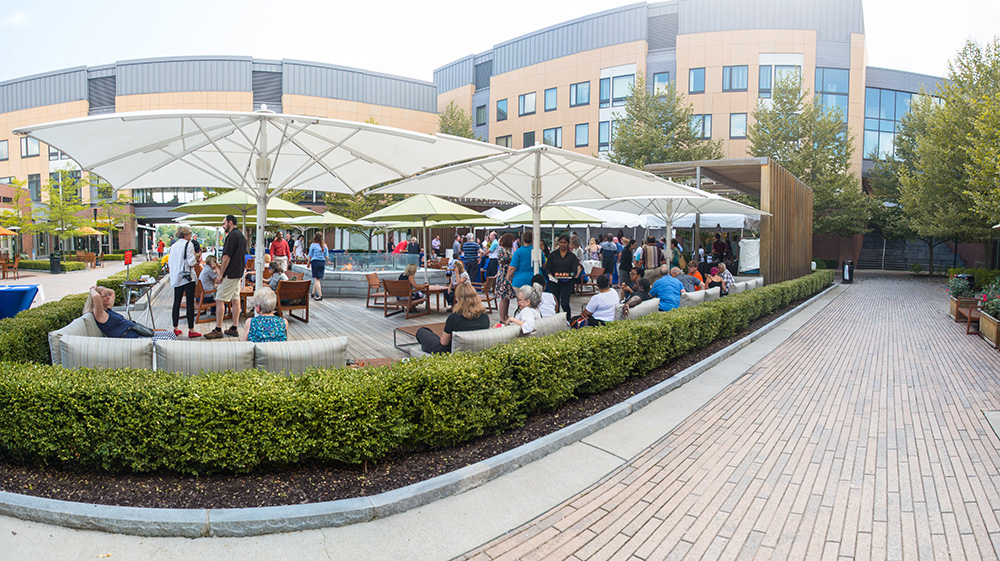 plaza with boxwood shrubs and white umbrellas
