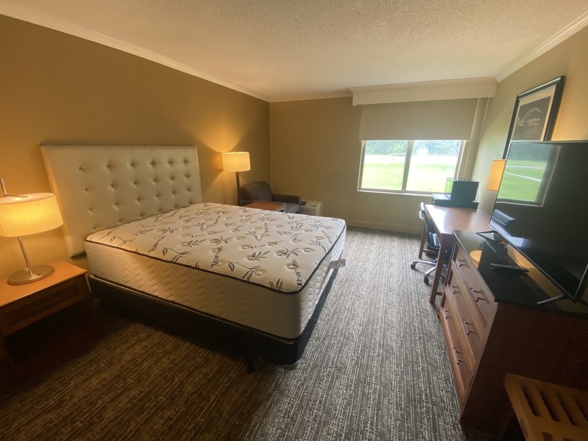 interior bedroom with green carpet