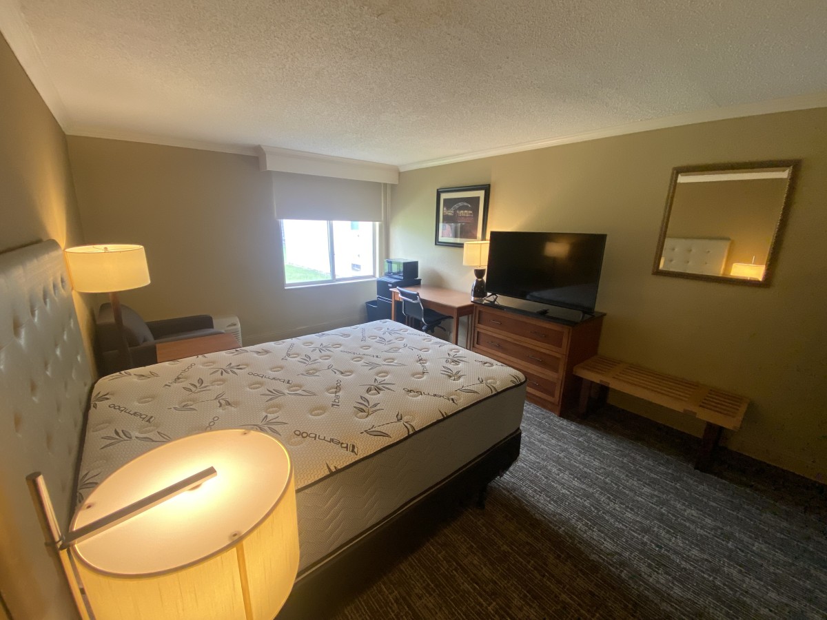 interior bedroom with green carpet