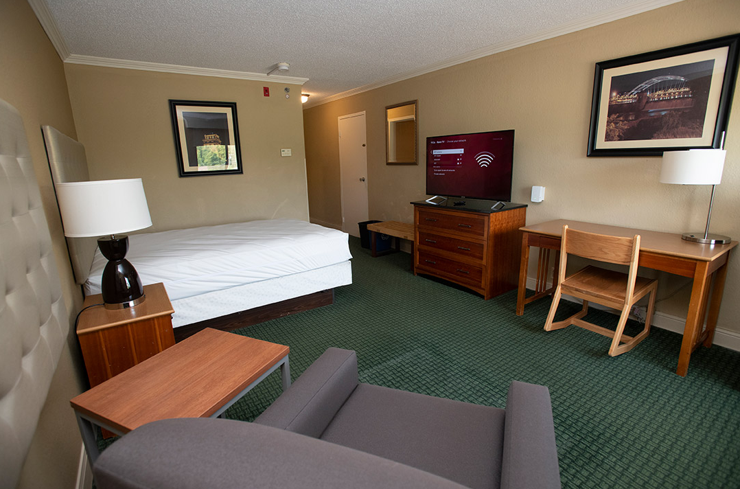 interior bedroom with green carpet