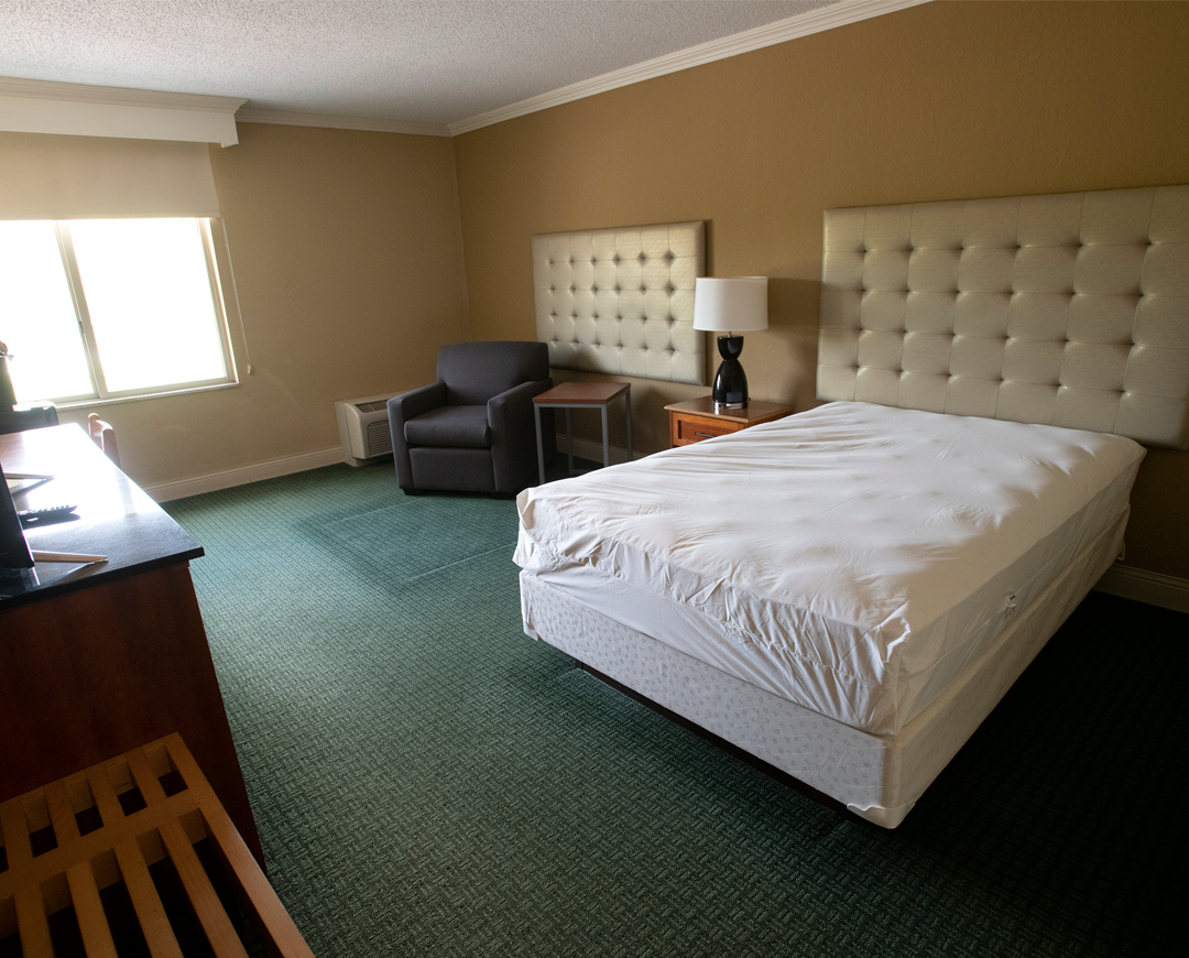 interior bedroom with green carpet